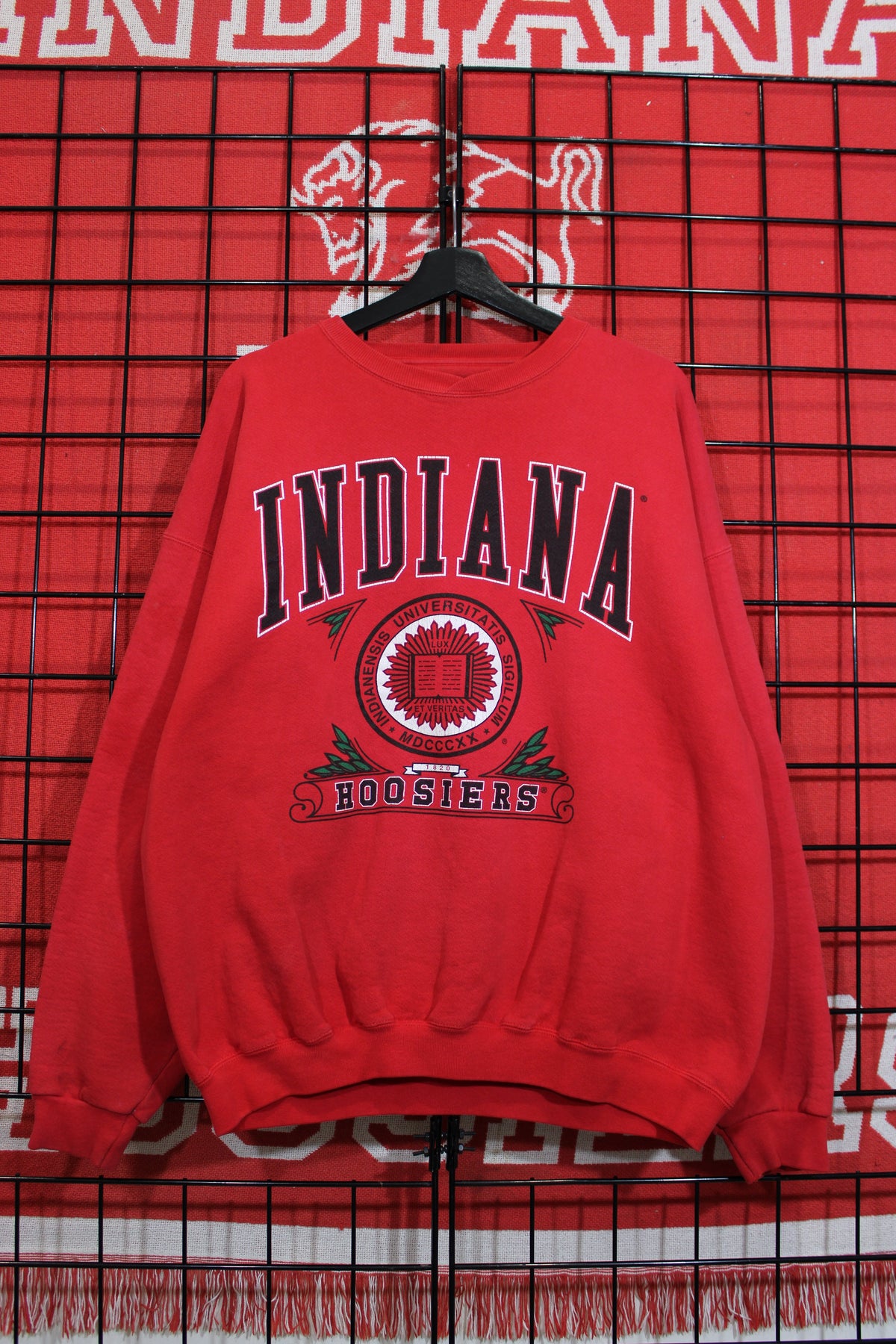 iu1026433a.jpg
