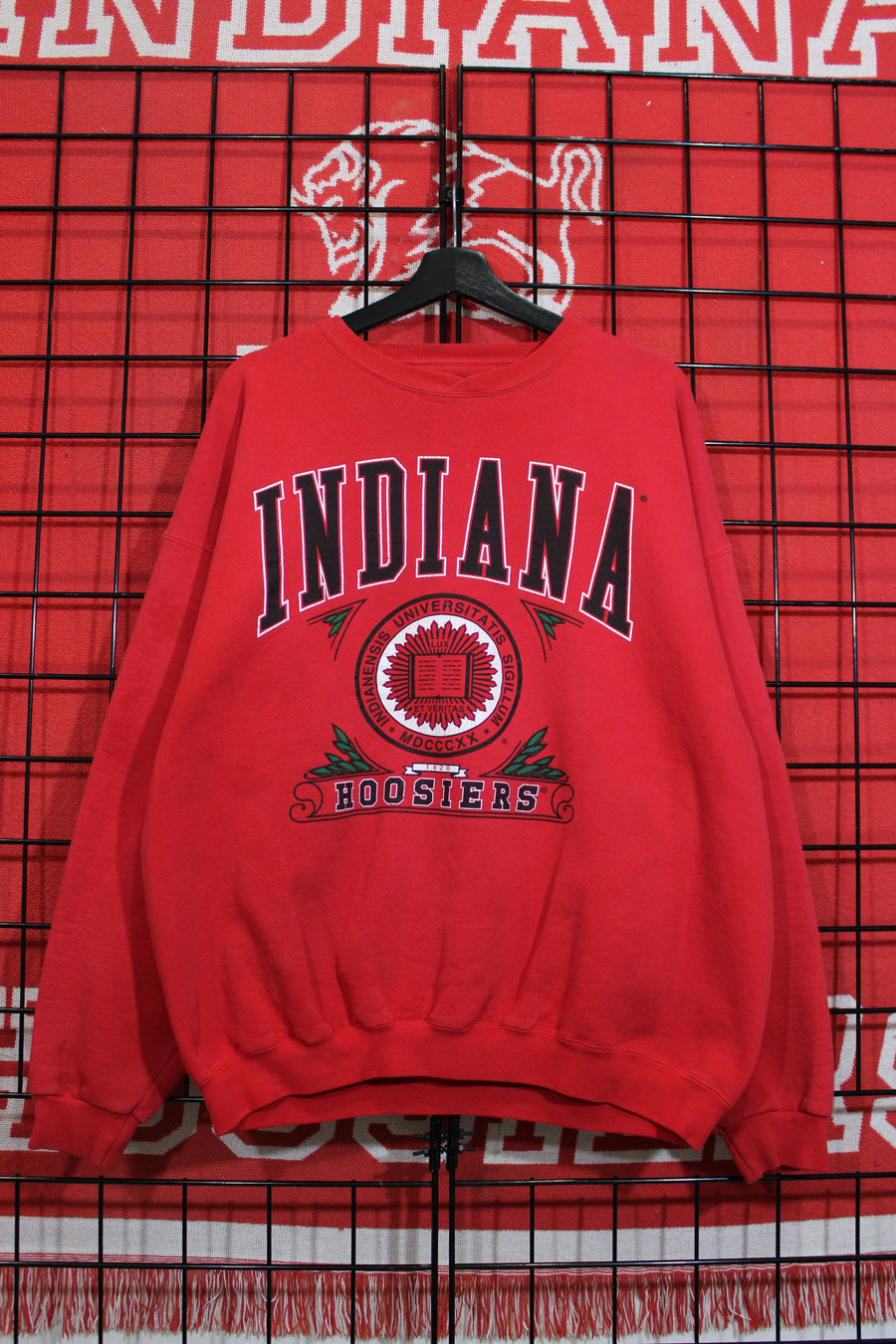 iu1026433a.jpg