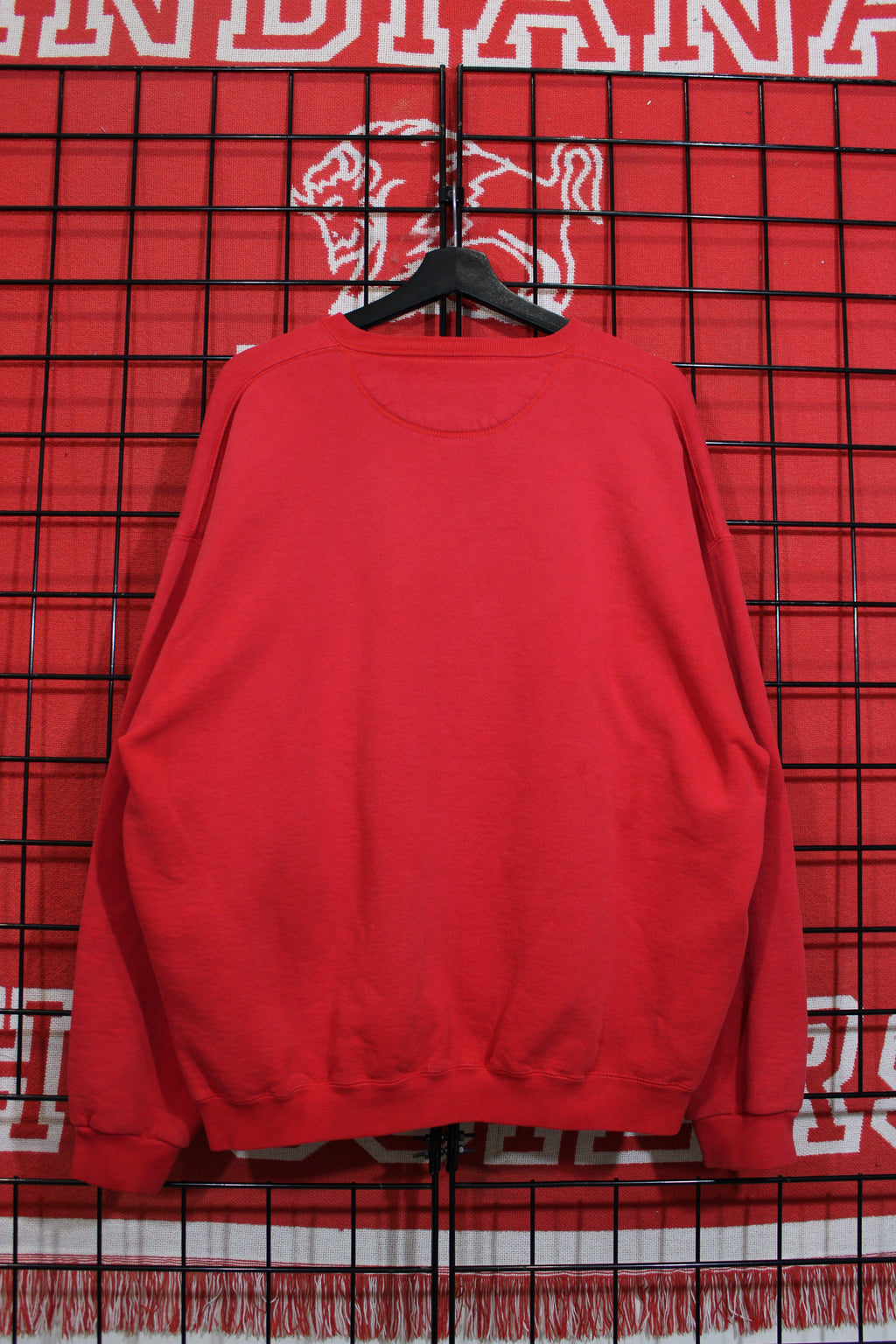 iu1026433b.jpg