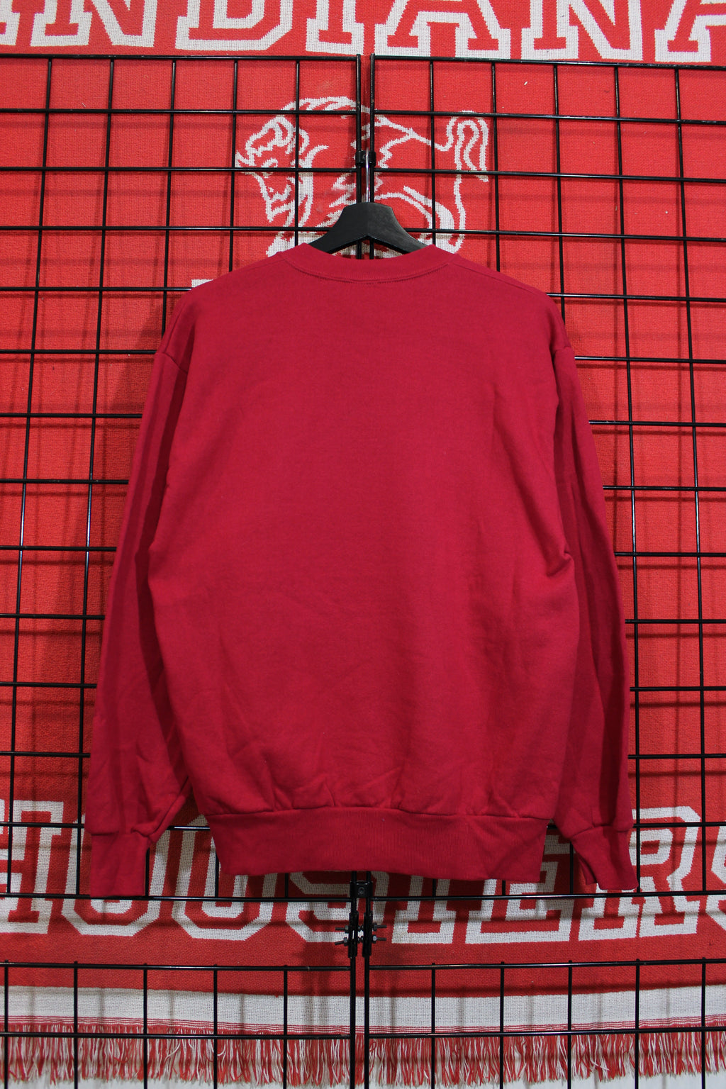 iu1026436b.jpg