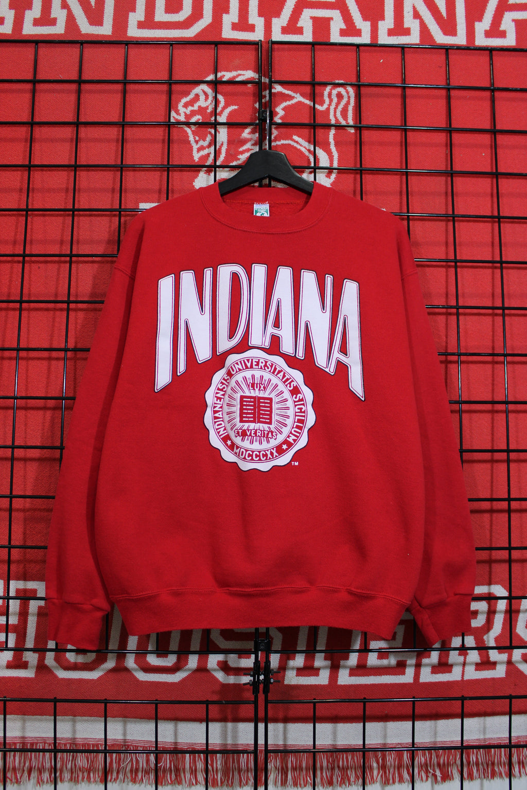 iu1026439a.jpg