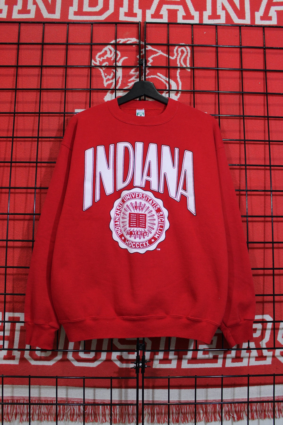 iu1026439a.jpg