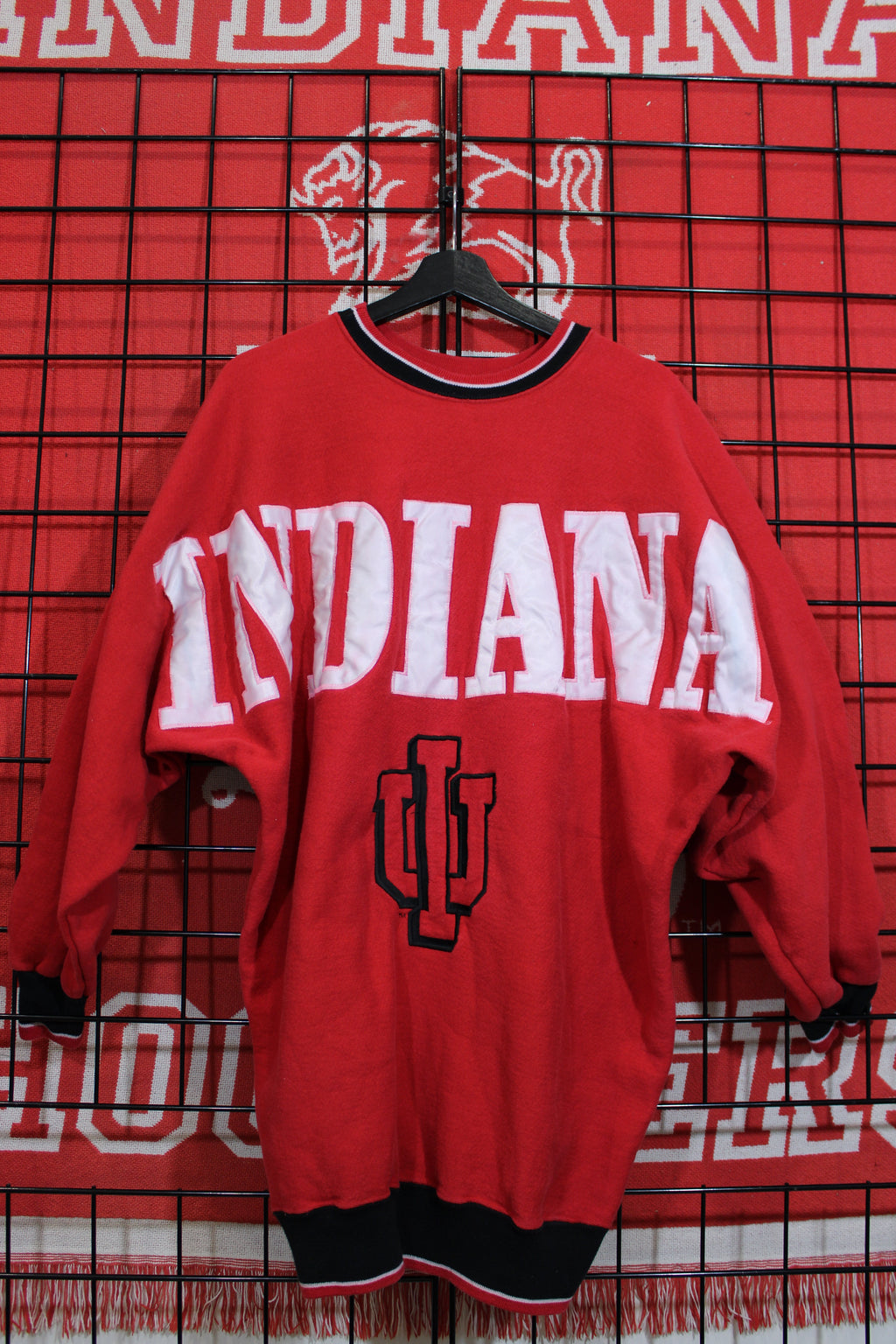 iu1026441a.jpg