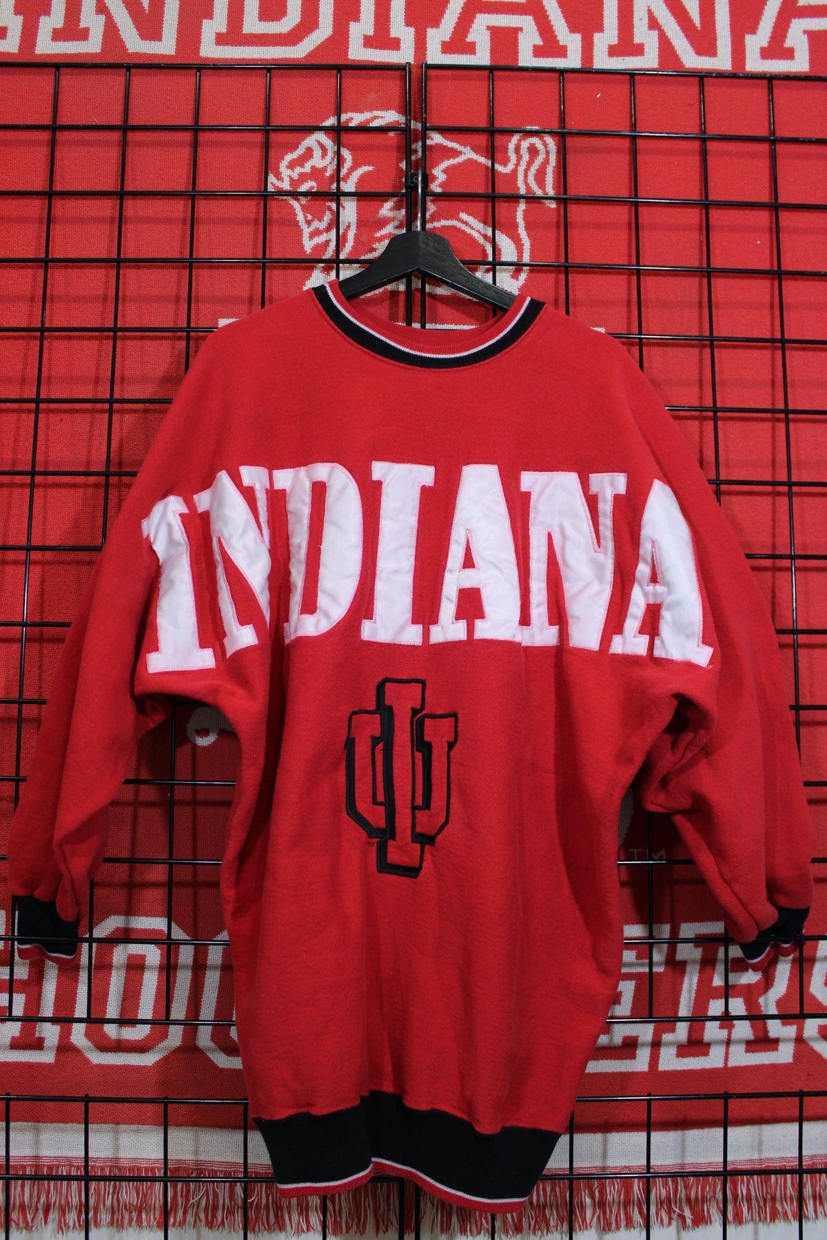 iu1026441a.jpg