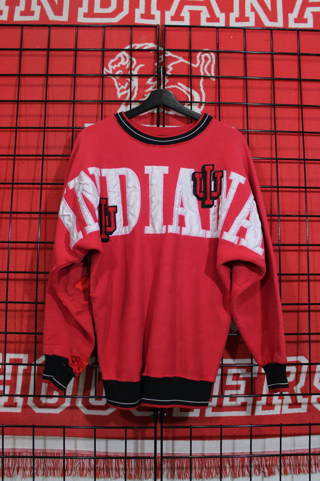 iu1026443a.jpg