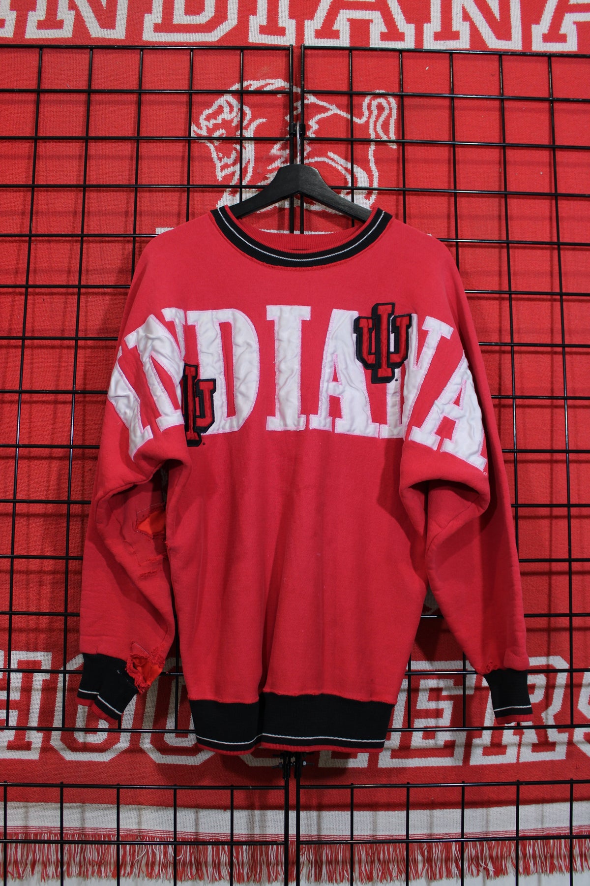 iu1026443a.jpg