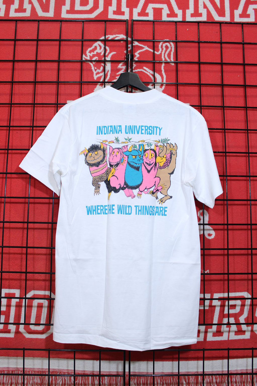 iu1026448b.jpg