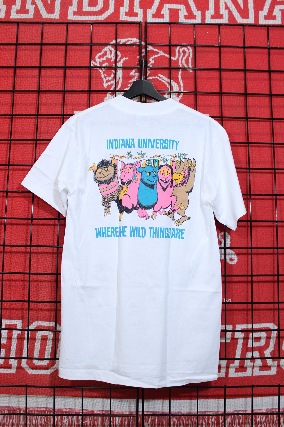 iu1026448b.jpg