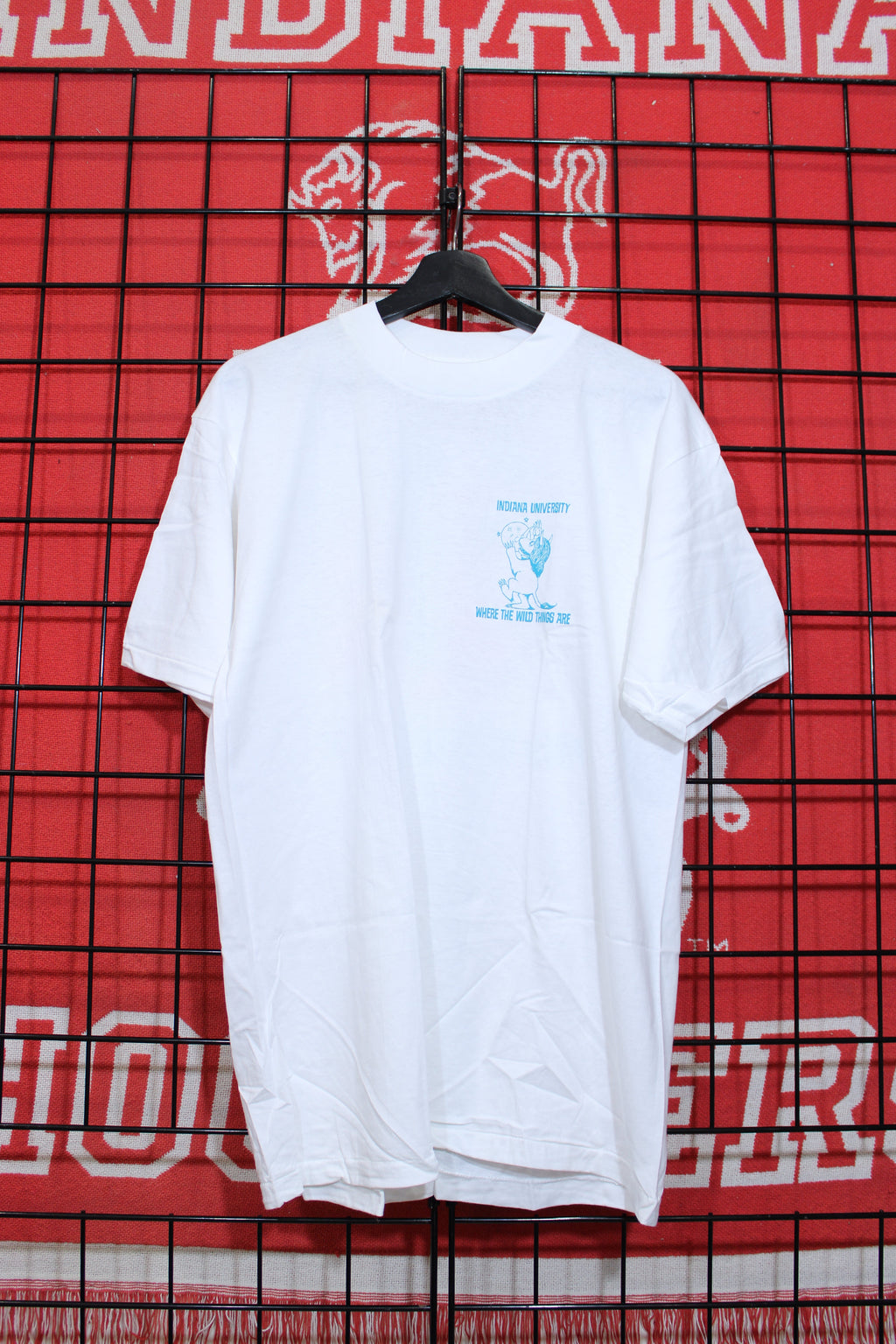 iu1026449a.jpg