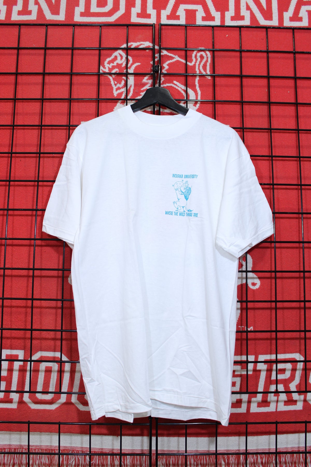 iu1026449a.jpg