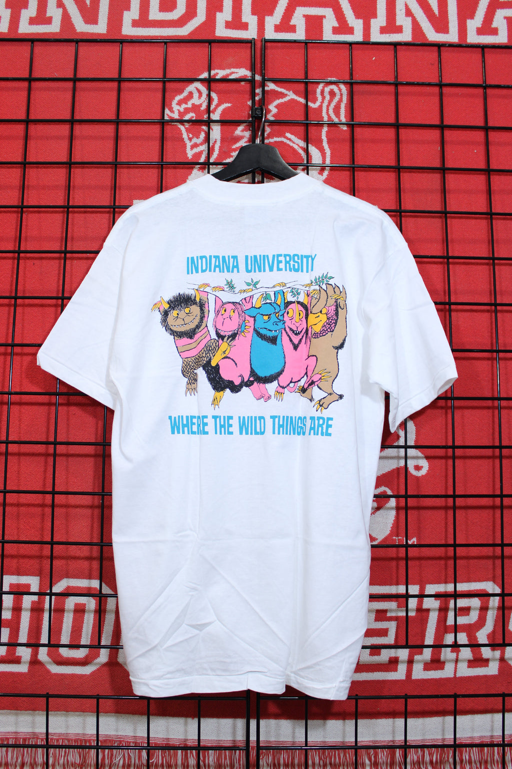 iu1026449b.jpg