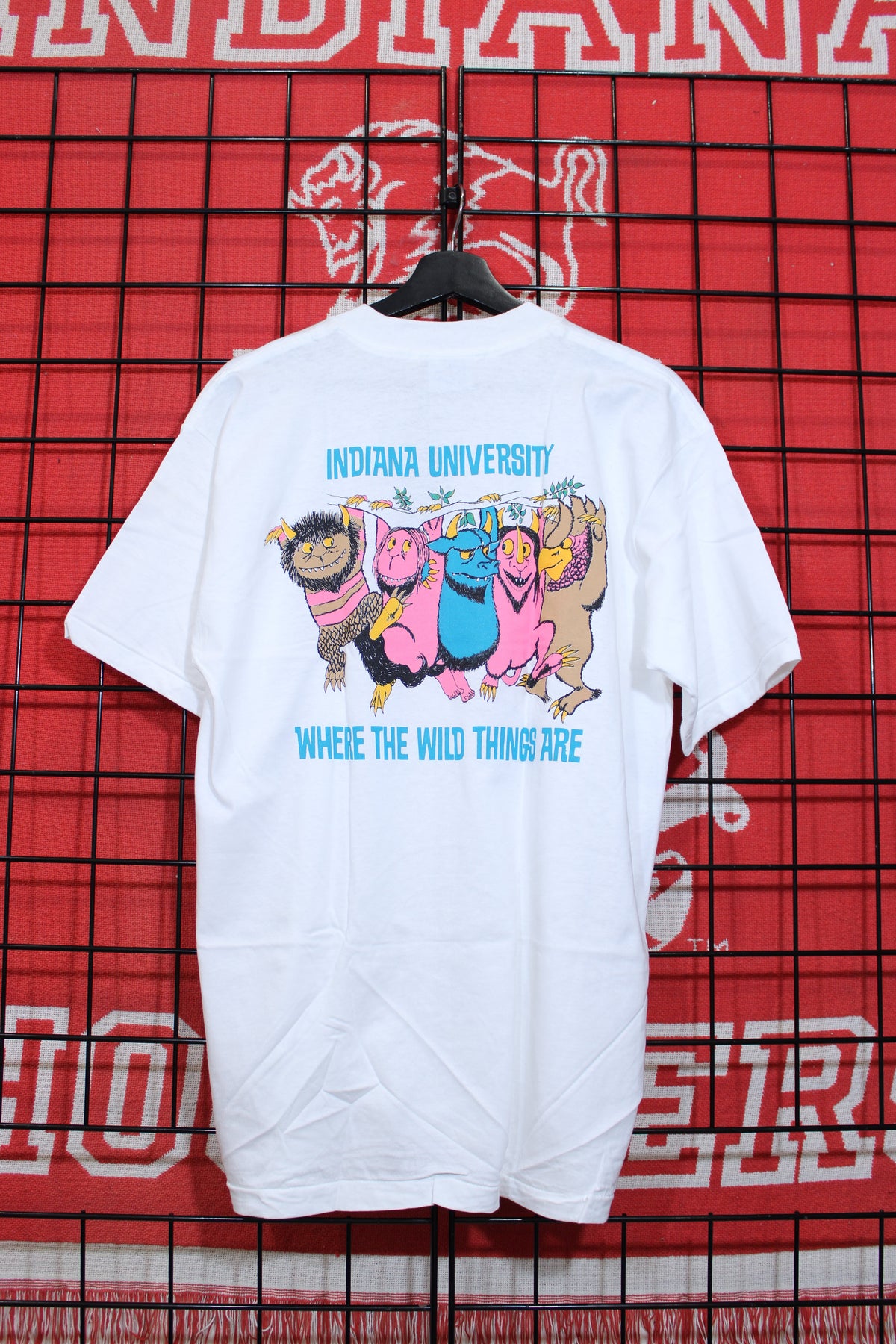 iu1026449b.jpg