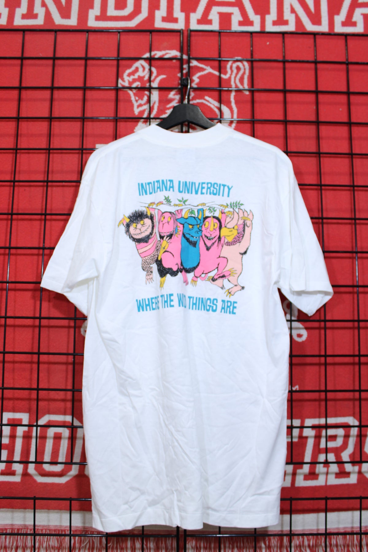 iu1026450b.jpg