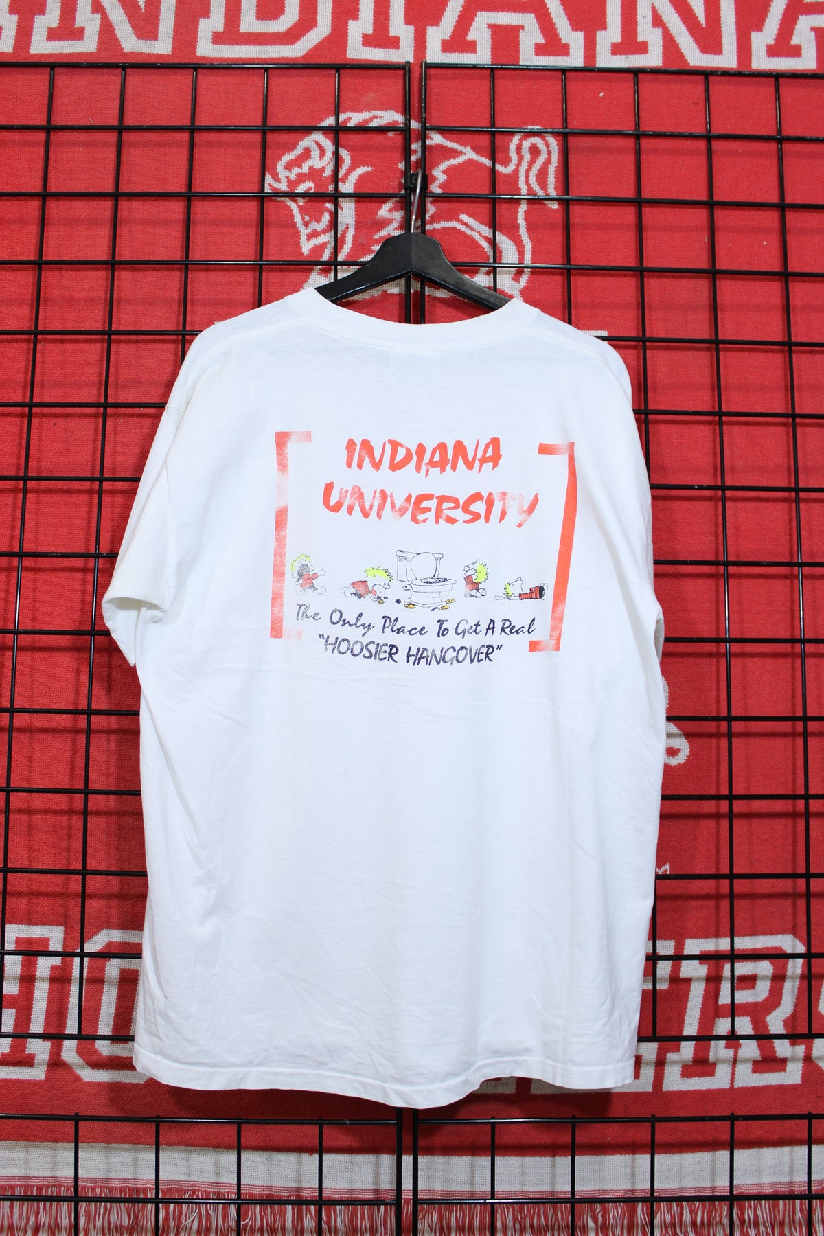 iu1026453b.jpg