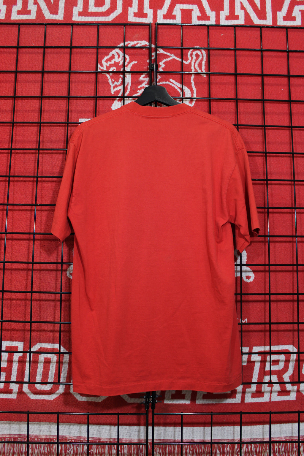 iu1026457b.jpg