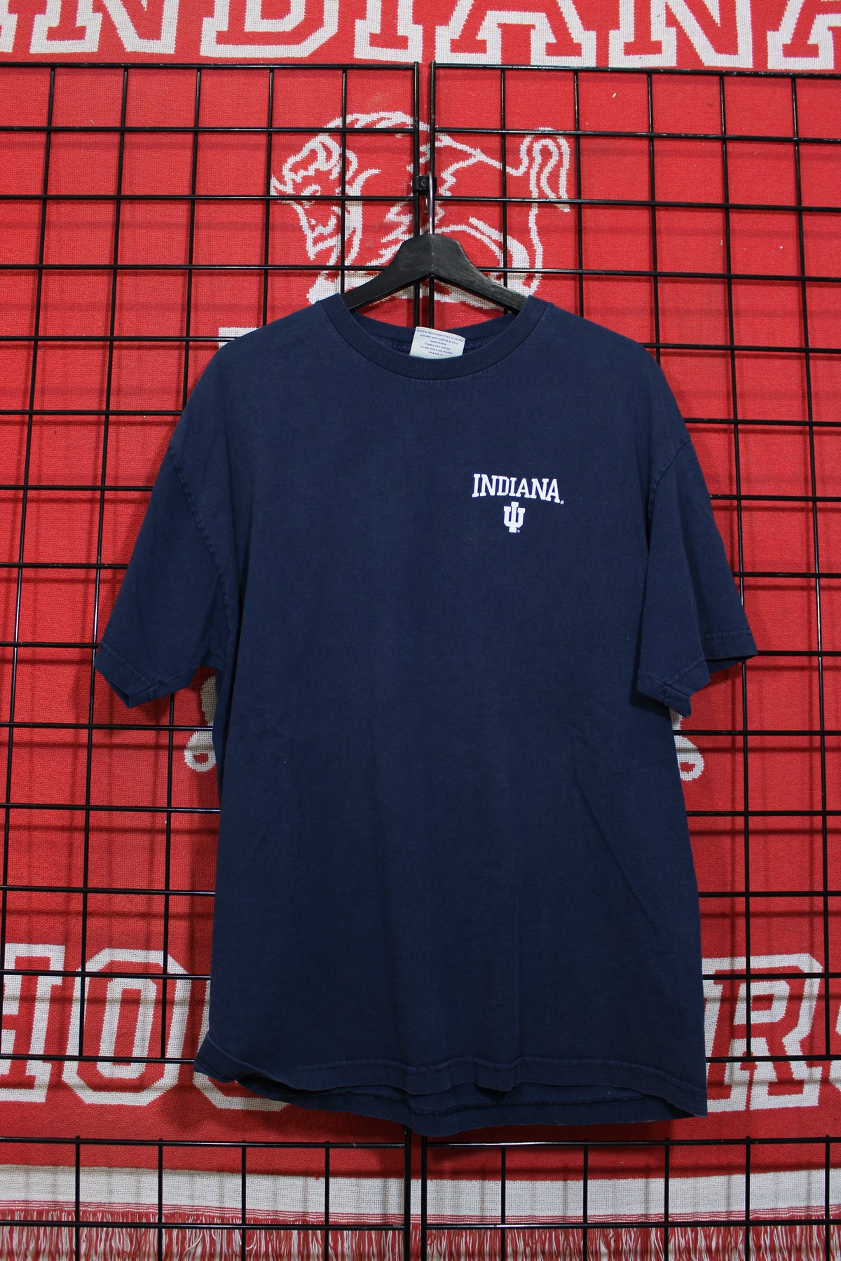 iu1026462a.jpg