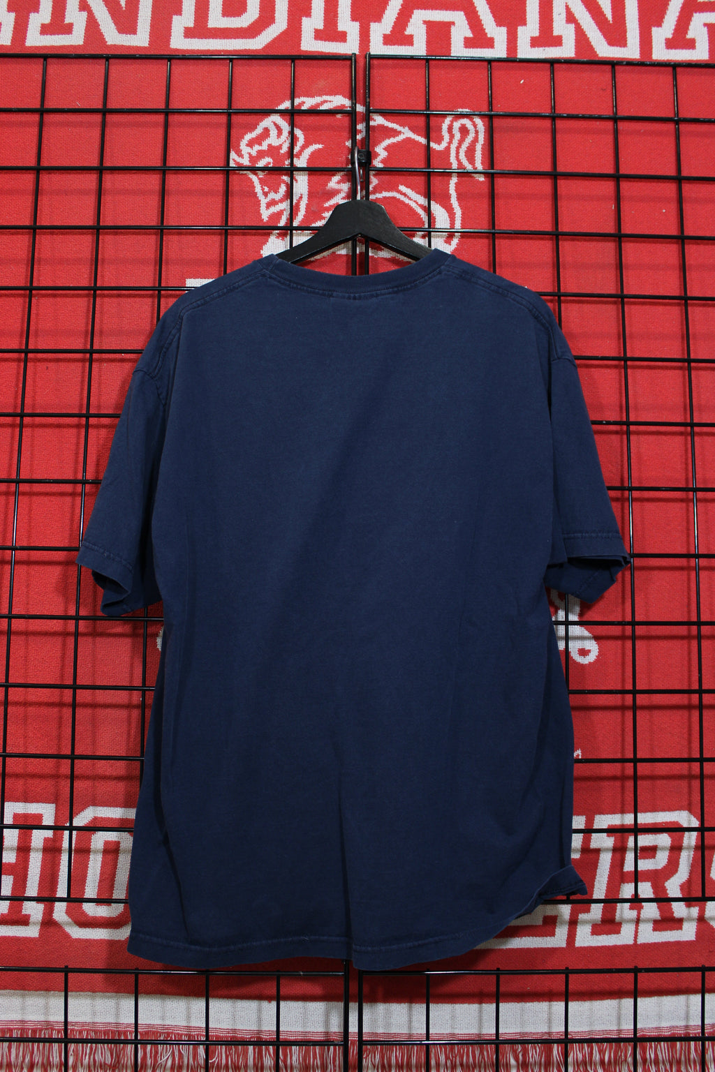 iu1026462b.jpg