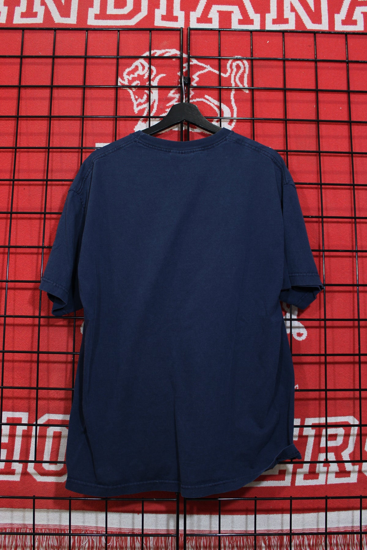 iu1026462b.jpg