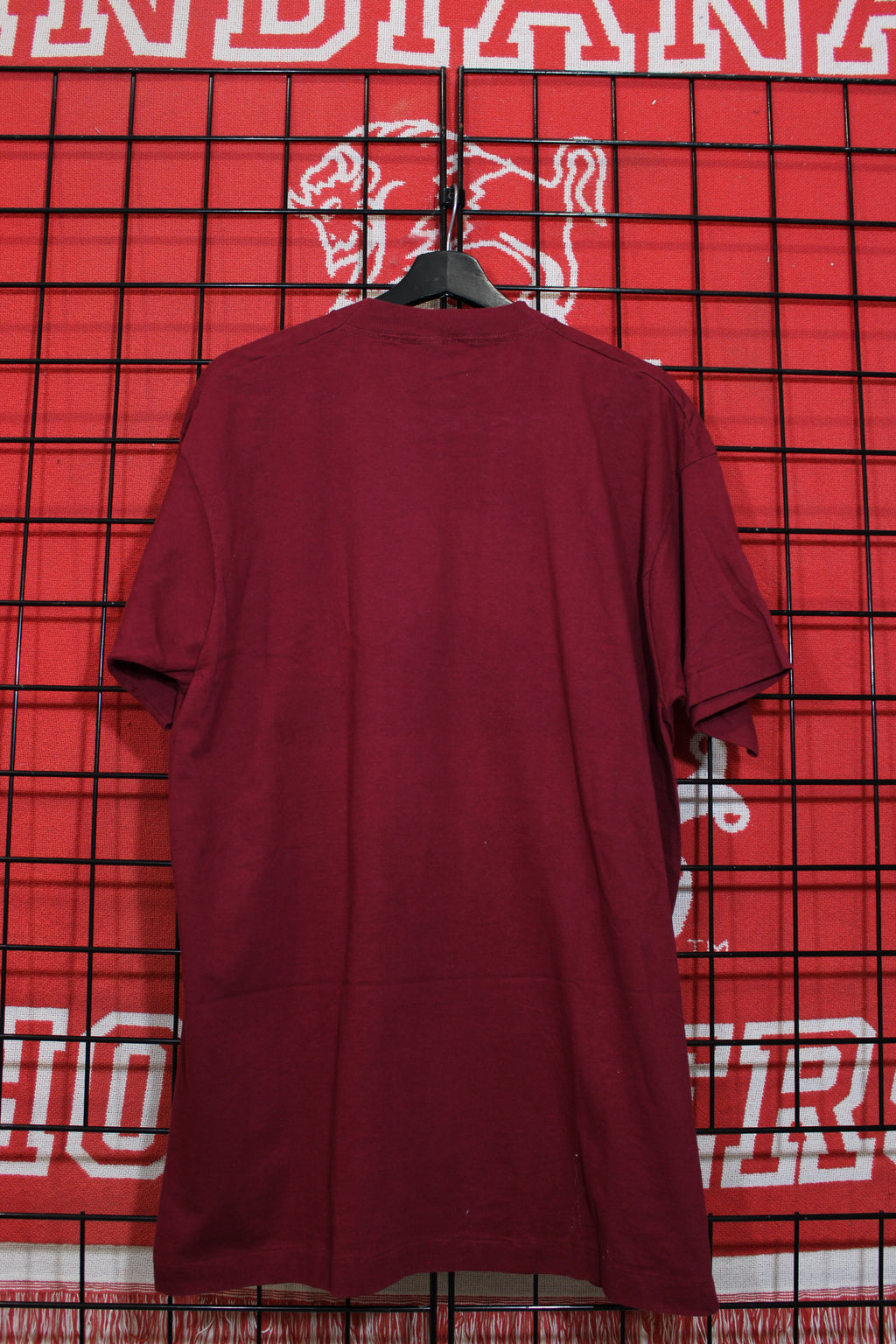 iu1026475b.jpg