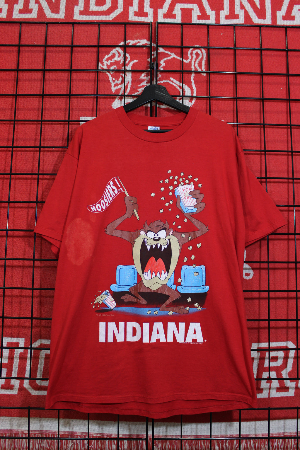 iu1026483a.jpg