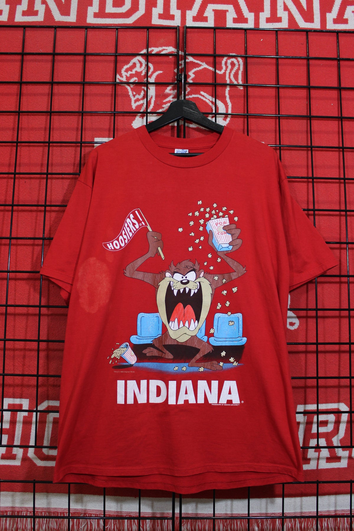 iu1026483a.jpg