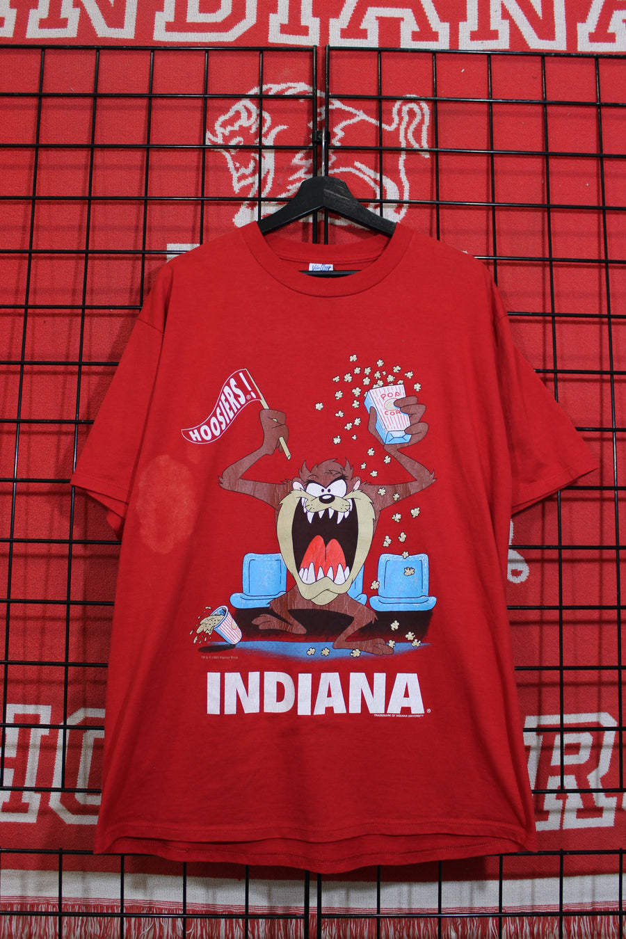 iu1026483a.jpg