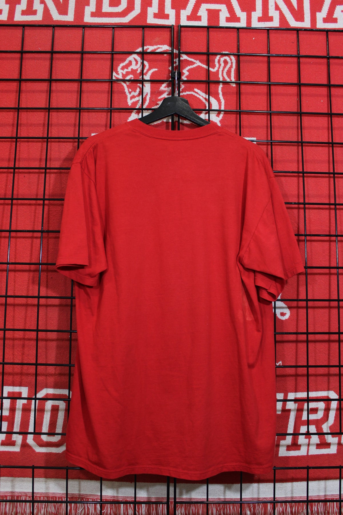 iu1026483b.jpg
