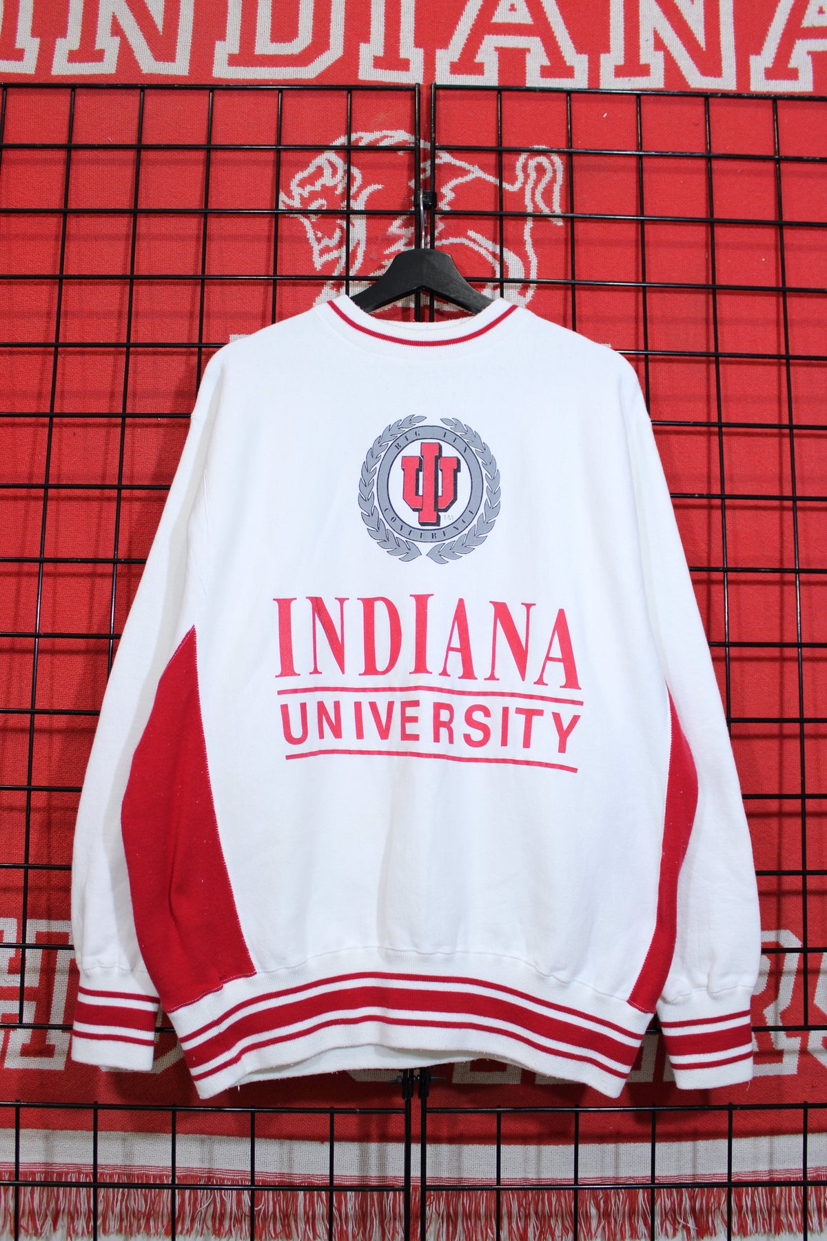iu1026495a.jpg
