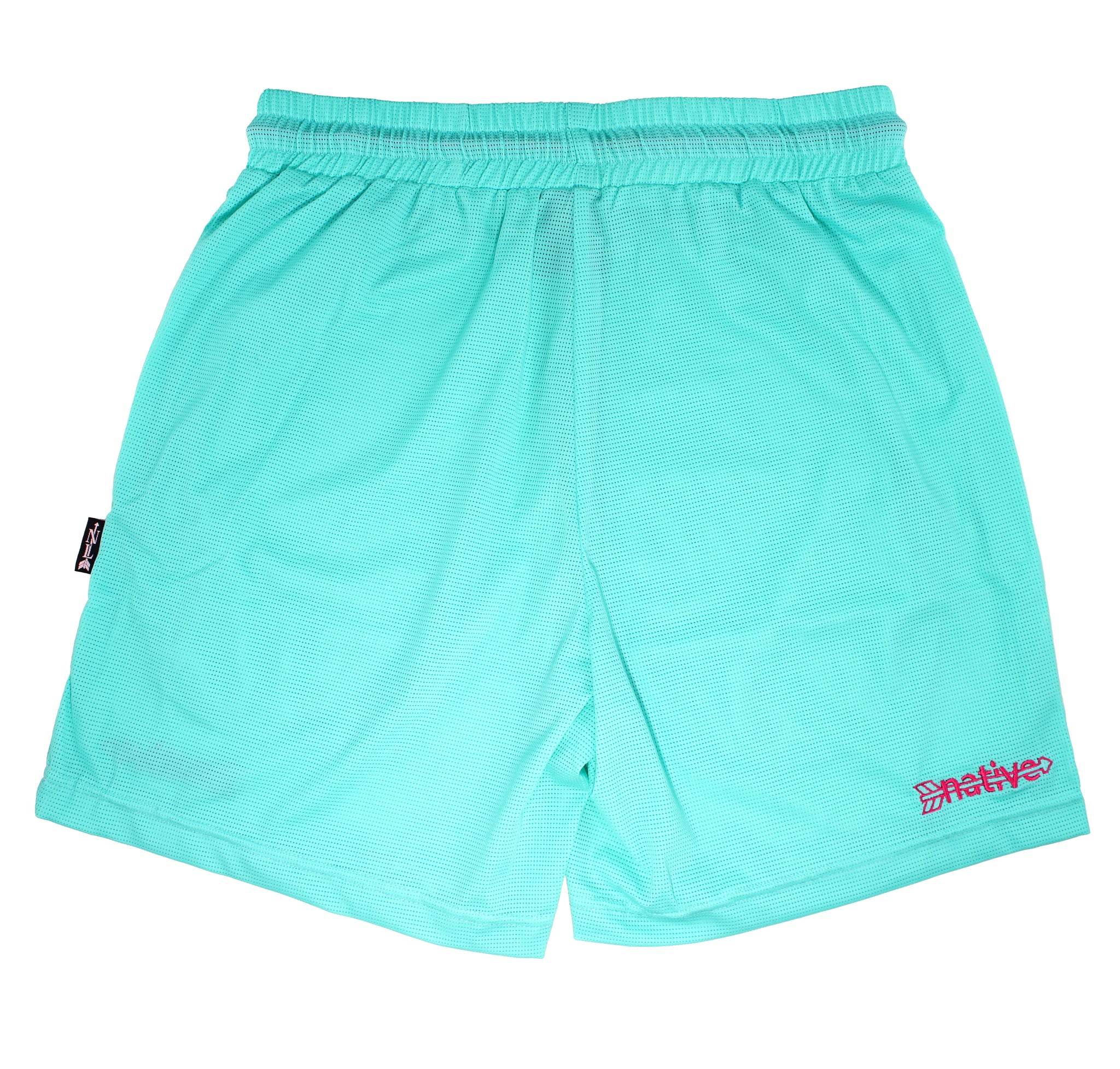 mesh shorts in south beach (aqua)