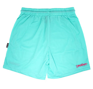 mesh shorts in south beach (aqua)