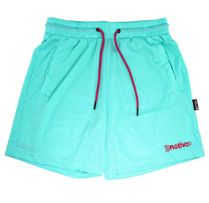 mesh shorts in south beach (aqua)